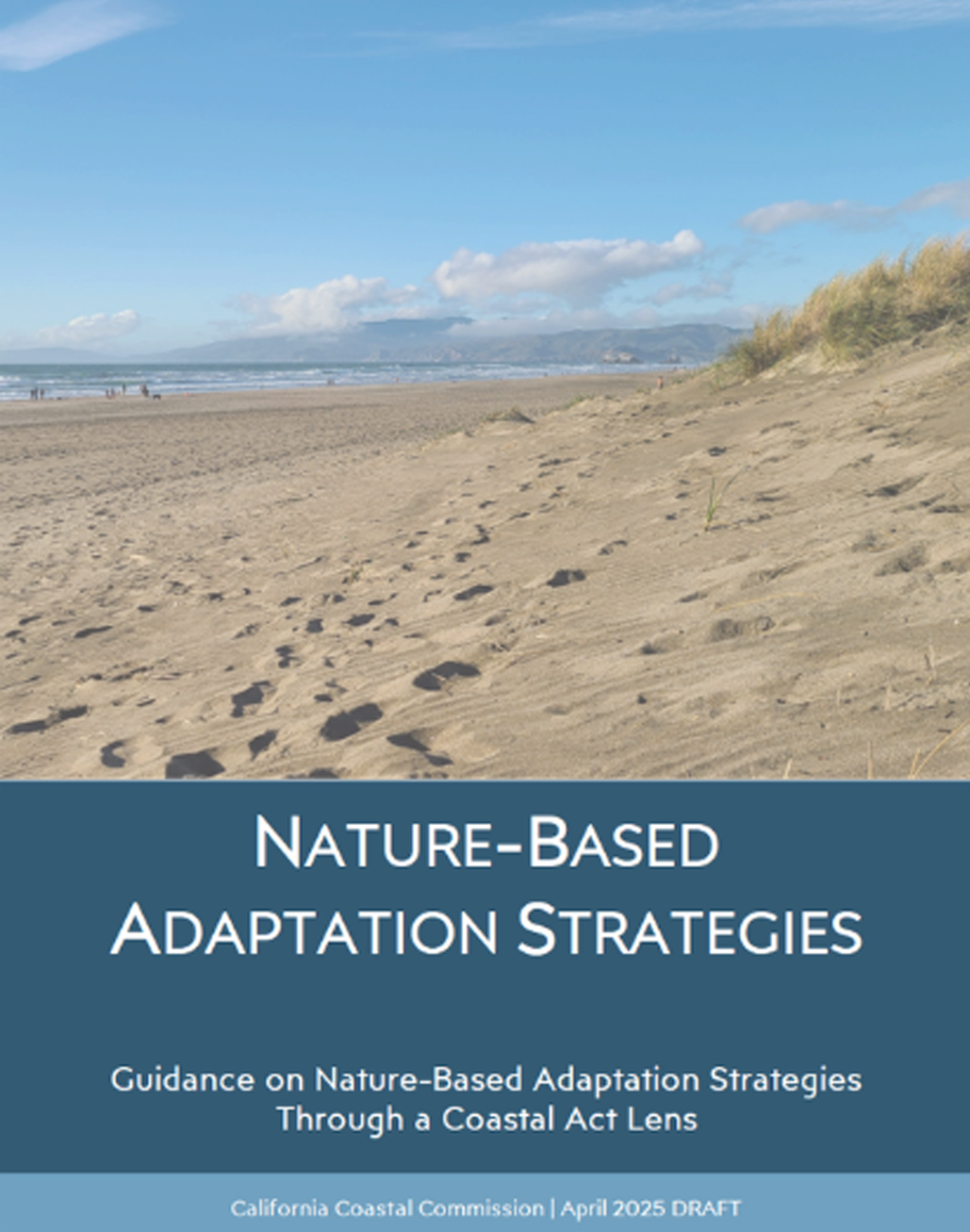Nature-Based Adaptation Strategy Policy Guidance