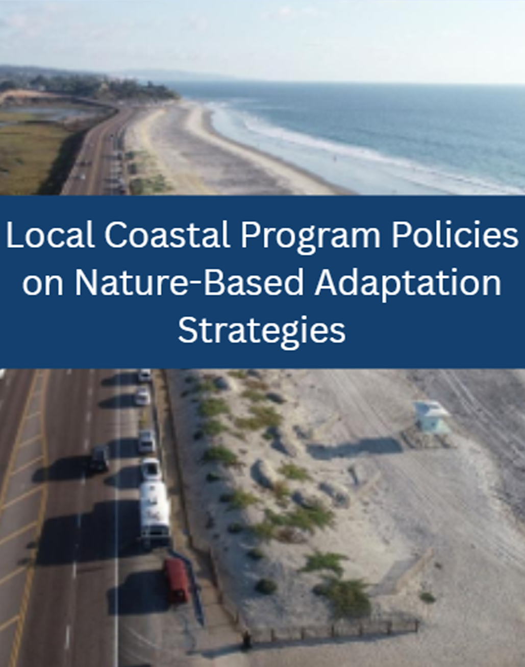 Nature-Based Adaptation Strategies LCP Policies Memo