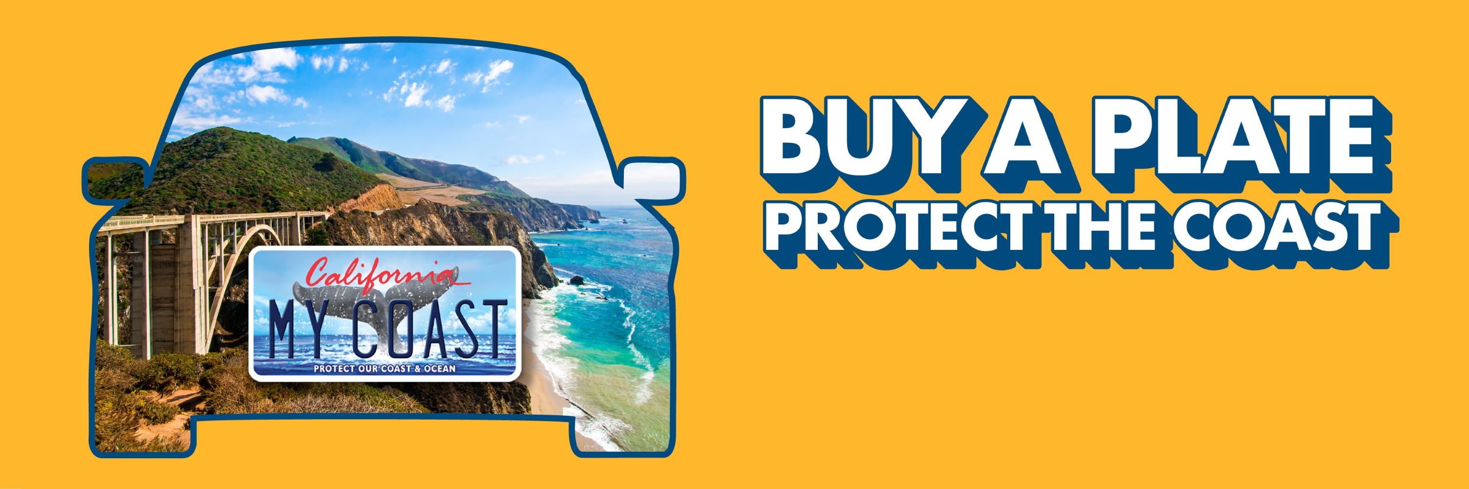 Whale Plate hero banner