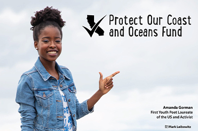 The Protect Our Coast and Ocean fund