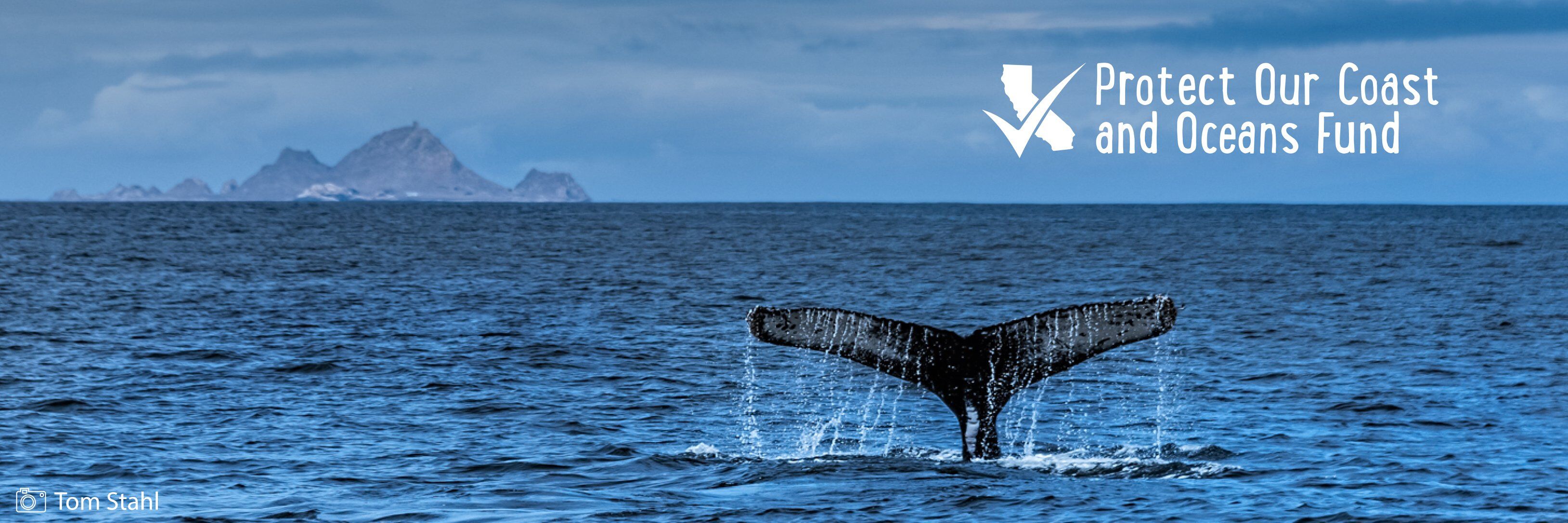 California Coastal Commission