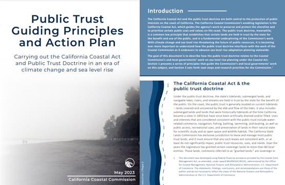 Guiding Principles & Action Plan Image