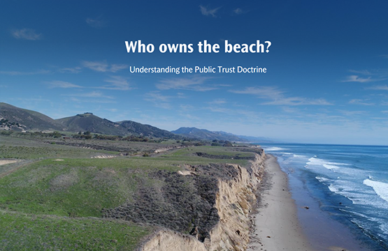 Who Owns the Beach Image