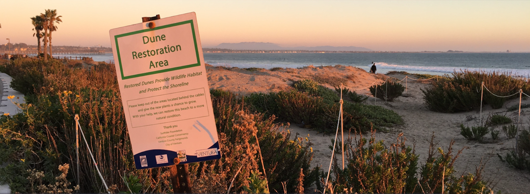 Nature-Based Adaptation Strategies Banner