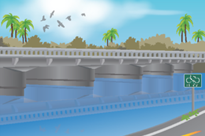 Recent Program Highlights picture