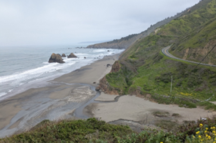 Recent Program Highlights picture