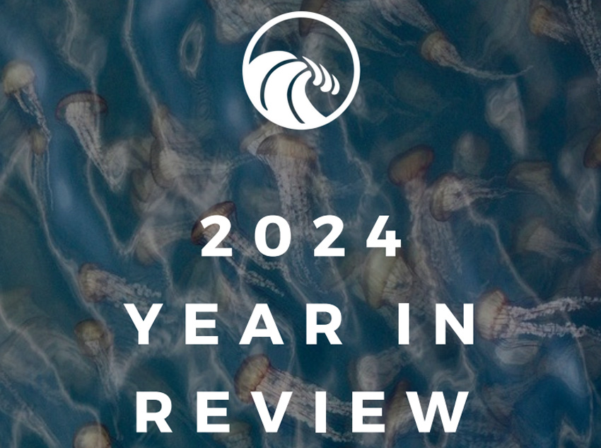 2024 Year in Review