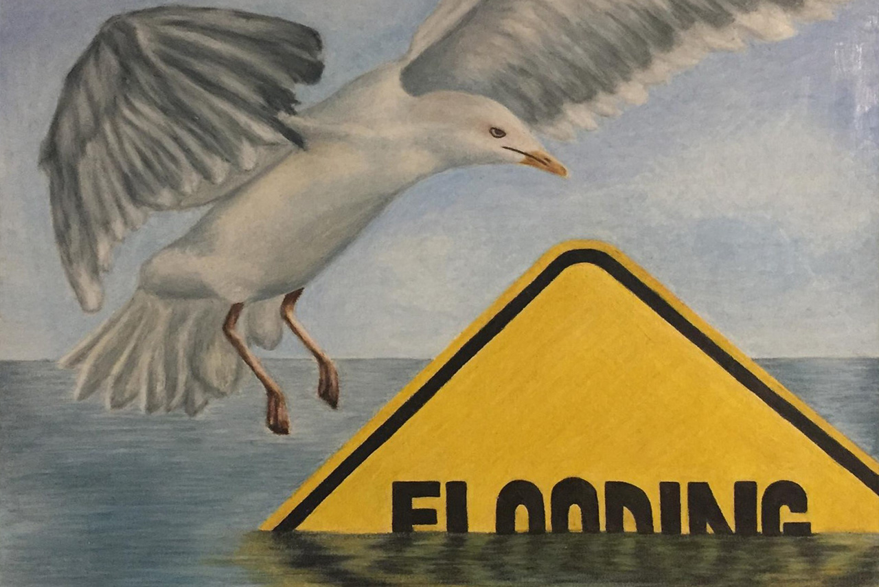 Coastal Art & Poetry Contest Winners